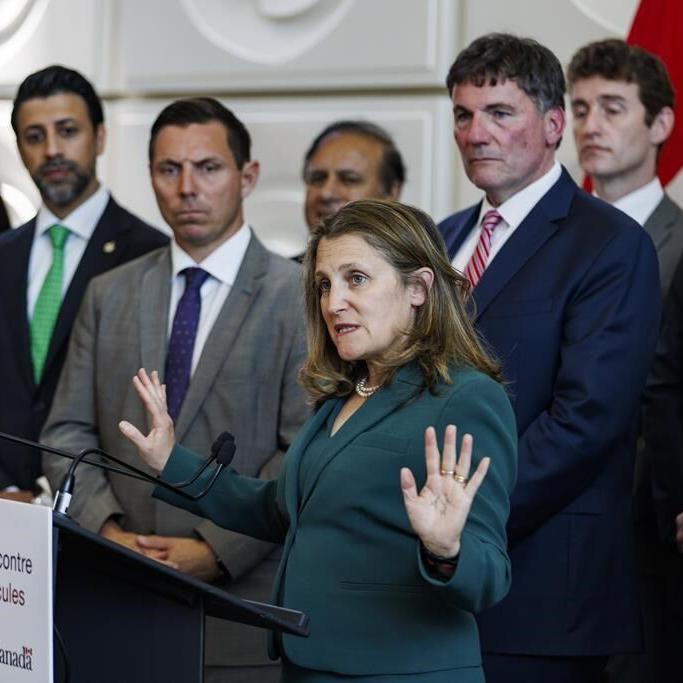 Feds unveil national plan to tackle auto theft, including Criminal Code changes